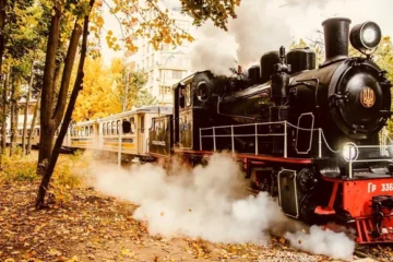 Укрзалізниця запускає ретропоїзд на День Конституції