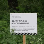 У Києві збільшили кількість ділянок, де не скошуватимуть траву
