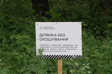 У Києві збільшили кількість ділянок, де не скошуватимуть траву