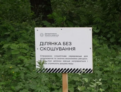 У Києві збільшили кількість ділянок, де не скошуватимуть траву