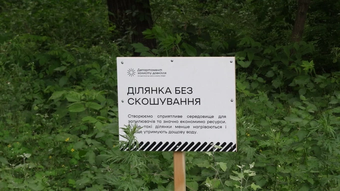 У Києві збільшили кількість ділянок, де не скошуватимуть траву