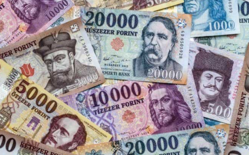 Депутати парламенту в Угорщині знизили собі зарплати