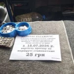 Після здорожчання комунального транспорту київські маршрутки підвищують тарифи до 25 гривень