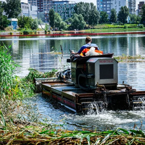 На озері Кирилівському почали прибирати очерет, що ввібрав нафтопродукти після атаки РФ