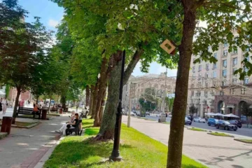 У Шевченківському районі встановили феромонні пастки для захисту каштанів від молі