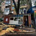 Демонтували кіоск, який звели навколо живого дерева у Солом’янському районі