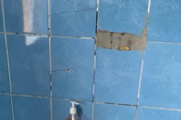Батьки вивезених із Вишневого дітей поскаржилися на неналежні умови в закарпатському «Артеку»