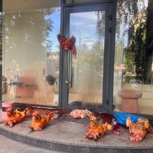 G×Bar у Києві облили кров’ю та залишили свинячі голови: у закладі заявляють про тиск