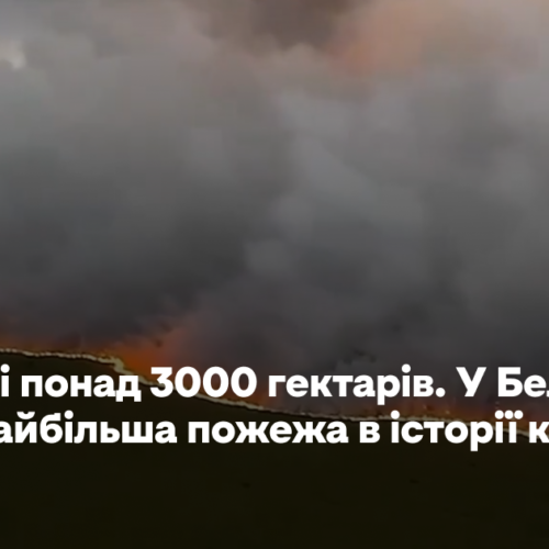 Знищені понад 3000 гектарів. У Бельгії вирує найбільша пожежа в історії країни