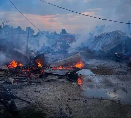 У притулку «Сіріус» сталася пожежа: загинули вісім собак