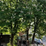Кав’ярня 50.45 на Кудрявській остаточно припиняє роботу
