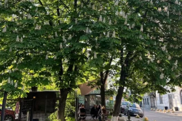 Кав’ярня 50.45 на Кудрявській остаточно припиняє роботу