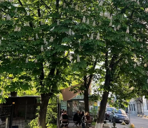 Кав’ярня 50.45 на Кудрявській остаточно припиняє роботу