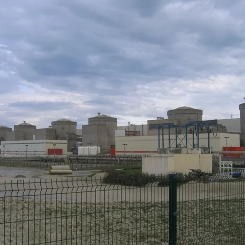 У Франції медузи частково зупинили одну з найбільших АЕС Європи
