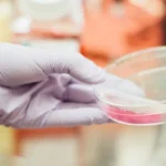 Шотландія представила першу в світі технологію очищення забрудненого лабораторного пластику для переробки