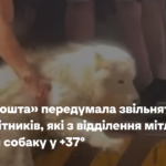 «Нова пошта» передумала звільняти співробітників, які з відділення мітлою вигнали собаку у +37°