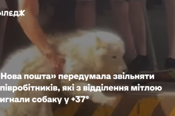 «Нова пошта» передумала звільняти співробітників, які з відділення мітлою вигнали собаку у +37°