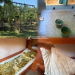 Гнилі продукти та сире укриття: на Закарпатті перевіряють дитячий табір «Артек»