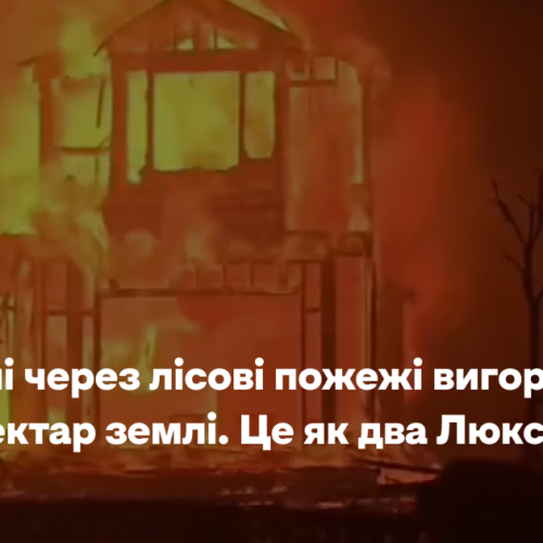 В Європі через лісові пожежі вигоріло 500 тисяч гектарів землі. Це як два Люксембурги
