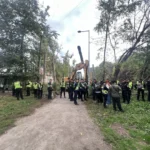 На Теремках продовжують вирубувати дерева для будівництва тепломережі. У КМДА спростовують