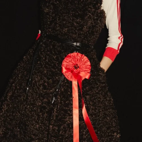 Аdidas та Simone Rocha випустили спільну колекцію з топами, кросівками та сукнями