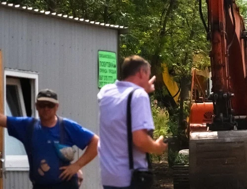 На Теремках відновили вирубку дерев для будівництва тепломережі: місто відмовилося від альтернатив