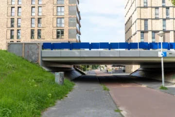 У Нідерландах і Бельгії озеленюють фасади мохом, який росте без ґрунту