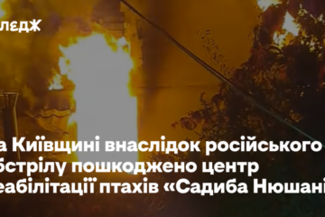 На Київщині внаслідок російського обстрілу пошкоджено центр реабілітації птахів «Садиба Нюшанік»