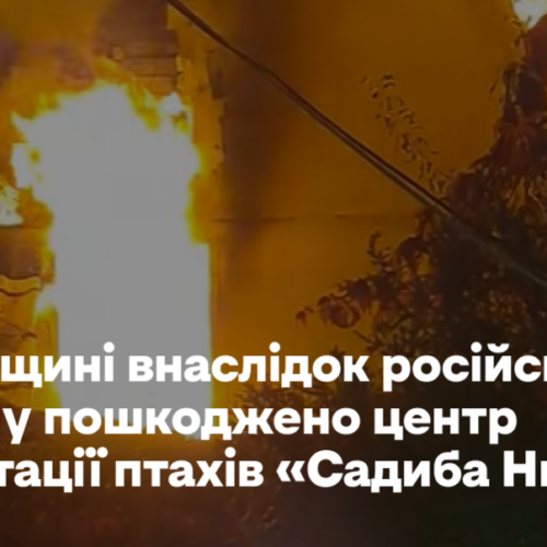 На Київщині внаслідок російського обстрілу пошкоджено центр реабілітації птахів «Садиба Нюшанік»