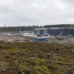 Google заборонили будувати центри обробки даних у Фінляндії після вирубки 330 гектарів лісу